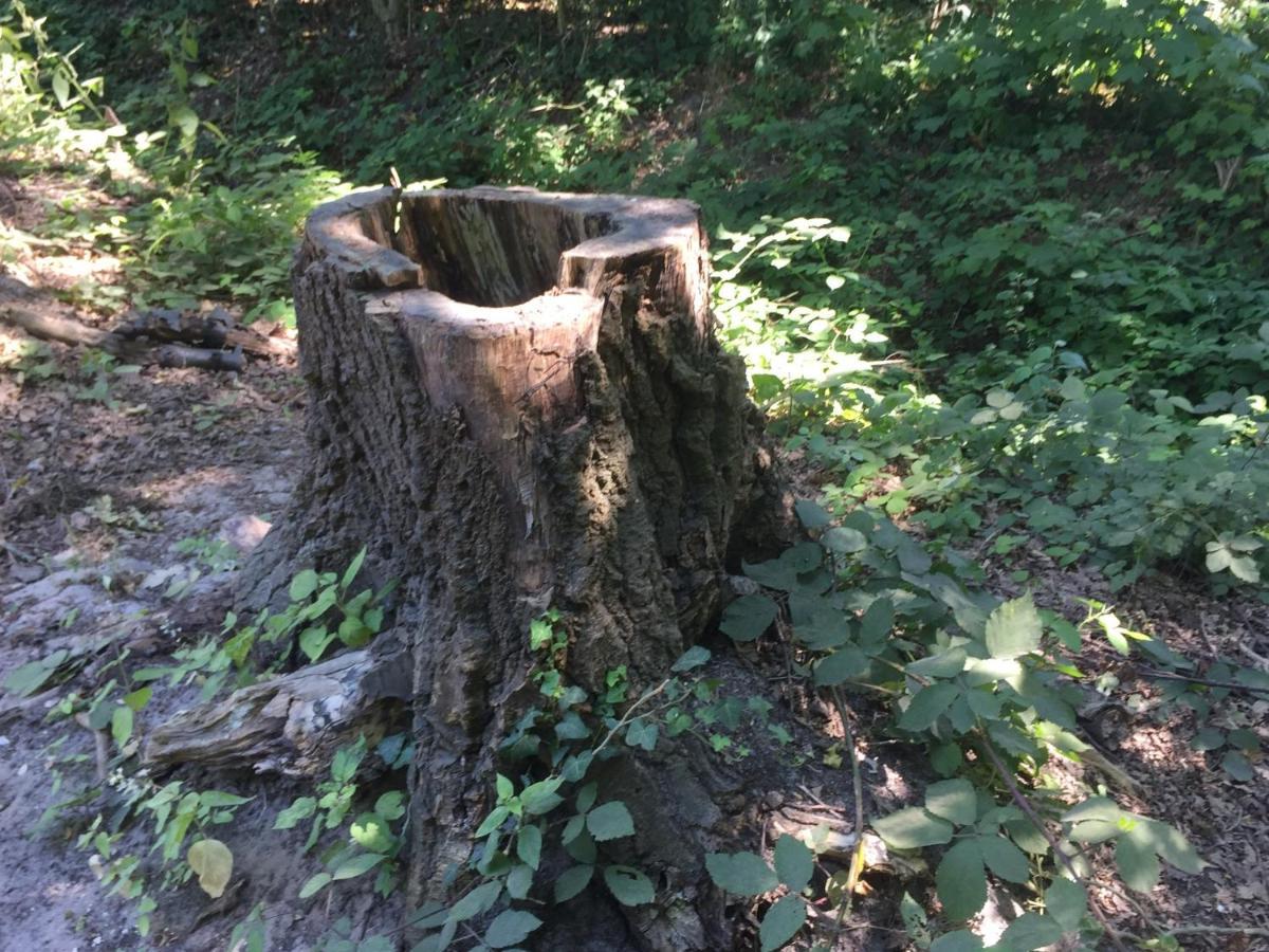 Olmenduin 33 Villa Serooskerke  Kültér fotó